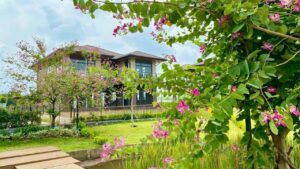 Biệt thự kênh Waterpoint 330m2 | Căn đơn lập kênh giá rẻ nhất Waterpoint, gần bến thuyền